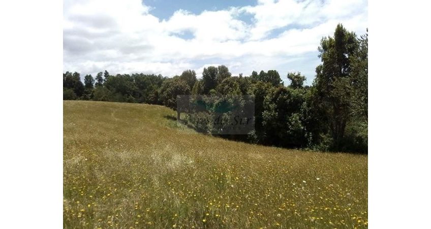 Se Vende Campo 15 ha, sector Los Parrones, 30 km de Osorno (ID24175)