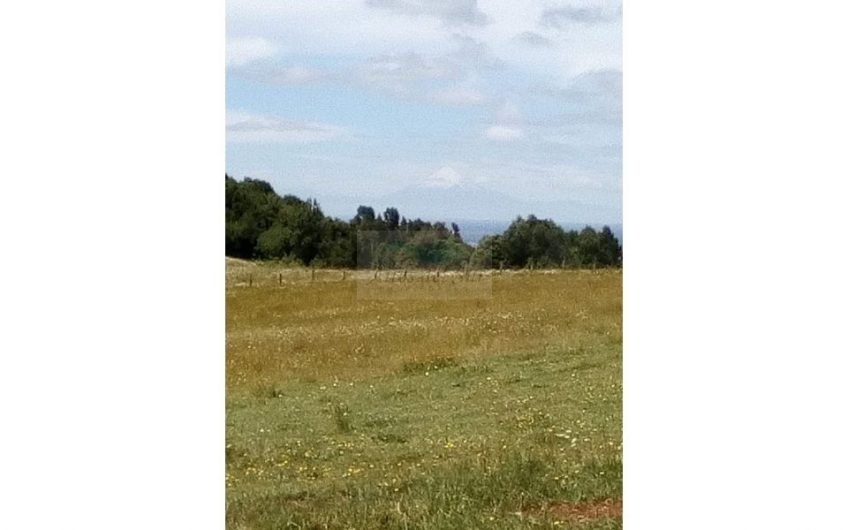 Se Vende Campo 15 ha, sector Los Parrones, 30 km de Osorno (ID24175)