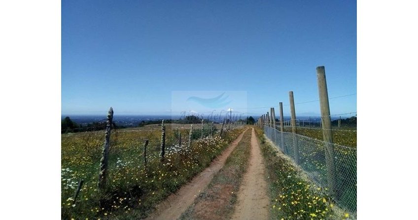 Se Vende Campo 15 ha, sector Los Parrones, 30 km de Osorno (ID24175)