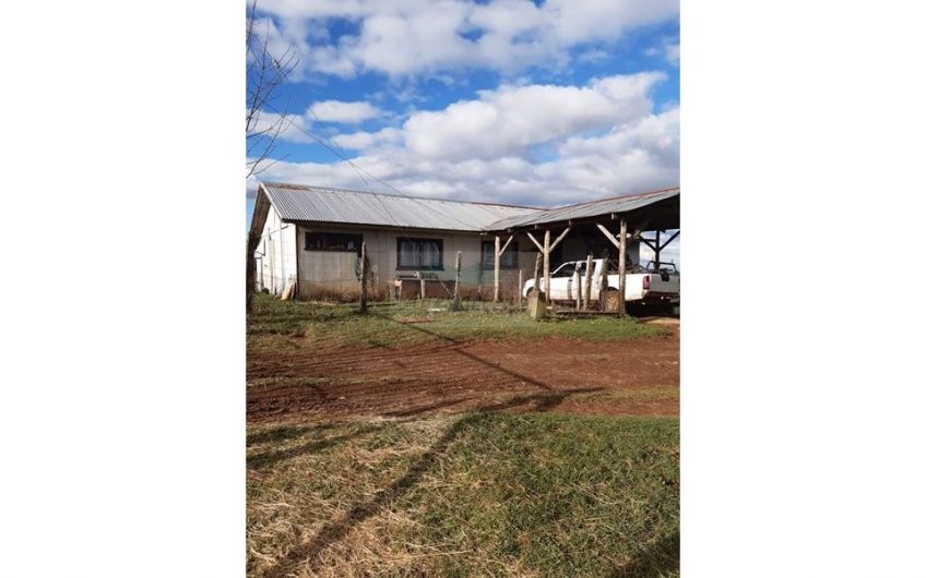 Se Vende Campo 15 ha, sector Los Parrones, 30 km de Osorno (ID24175)