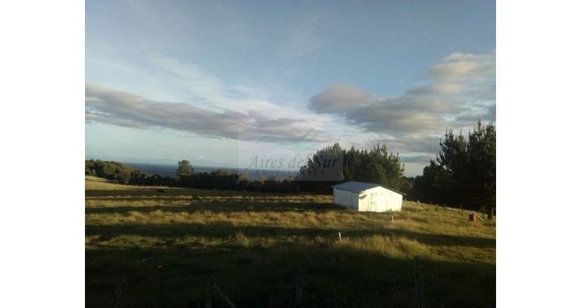 Se Vende Campo 15 ha, sector Los Parrones, 30 km de Osorno (ID24175)