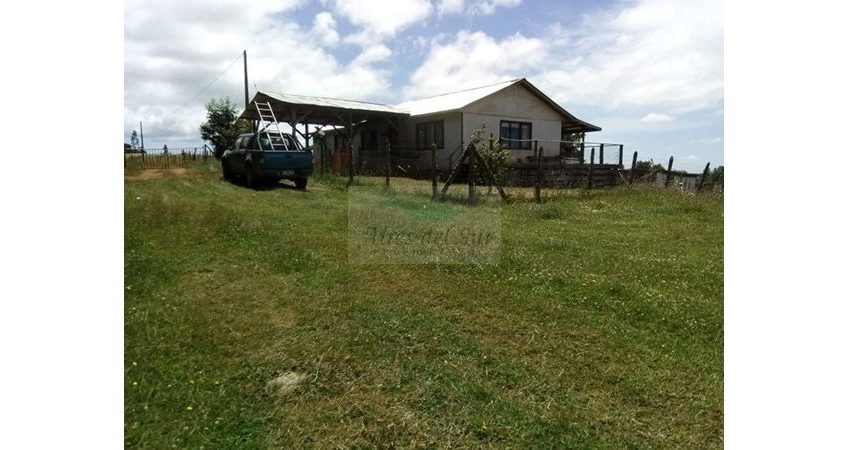Se Vende Campo 15 ha, sector Los Parrones, 30 km de Osorno (ID24175)