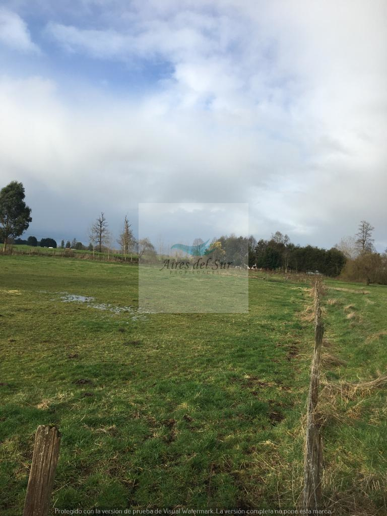 VENDE PARCELA AGRICOLA SECTOR MULPULMO RUTA 215 (ID31143)