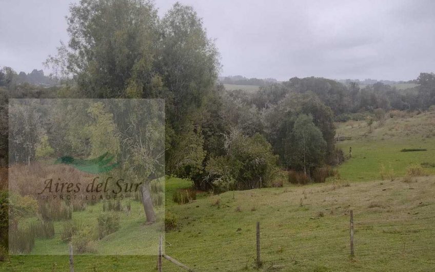SE VENDE CAMPO AGRICOLA SECTOR FOLILCO 28 KM OSORNO (ID33671)