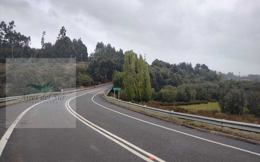 SE VENDE CAMPO AGRICOLA SECTOR FOLILCO 28 KM OSORNO (ID33671)