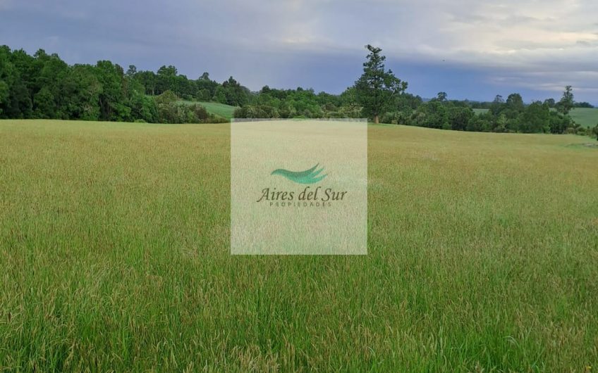 SE VENDE CAMPO DE 5 Ha EN SECTOR CHAPACO, RIO NEGRO (ID36686)