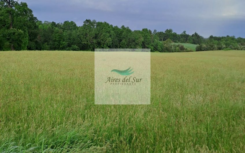 SE VENDE CAMPO DE 5 Ha EN SECTOR CHAPACO, RIO NEGRO (ID36686)